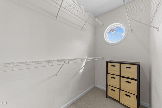 spacious closet featuring light carpet