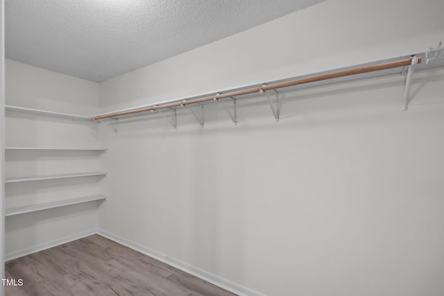 205 Woodside Dr, Goldsboro, NC 27534 - spacious closet featuring wood finished floors