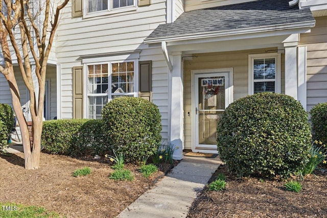 doorway to property featuring roof with shingles