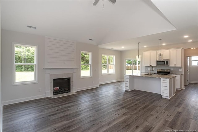 5815 James Allen Ln, Stedman, NC 28391 - kitchen featuring stainless steel appliances, open floor plan, dark wood finished floors, recessed lighting, and white cabinetry