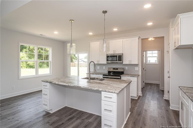 5815 James Allen Ln, Stedman, NC 28391 - kitchen with appliances with stainless steel finishes, a sink, healthy amount of natural light, dark wood-style flooring, and recessed lighting