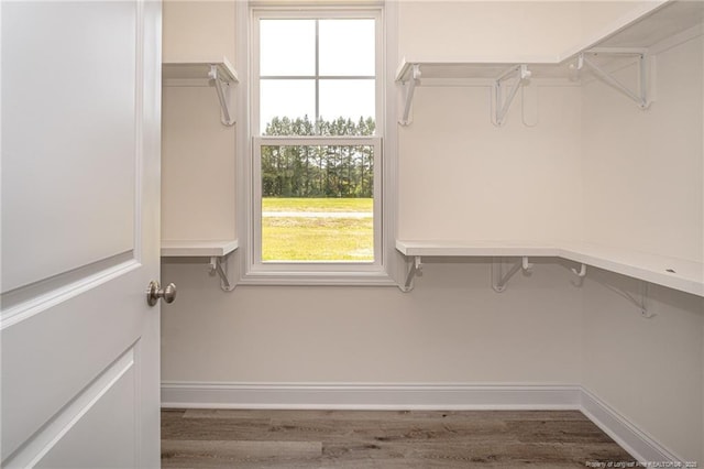 5815 James Allen Ln, Stedman, NC 28391 - walk in closet with wood finished floors