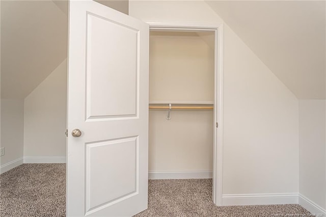 5815 James Allen Ln, Stedman, NC 28391 - view of closet