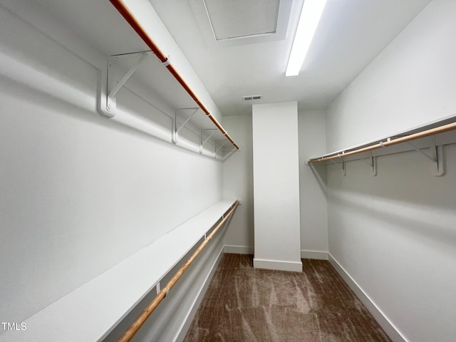 spacious closet featuring visible vents and carpet floors