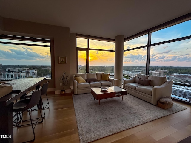 living area with expansive windows, a view of city, baseboards, and wood finished floors
