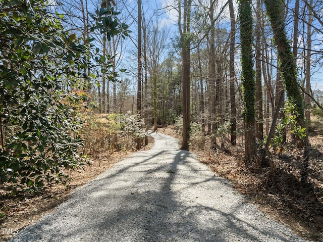 view of road with a forest view