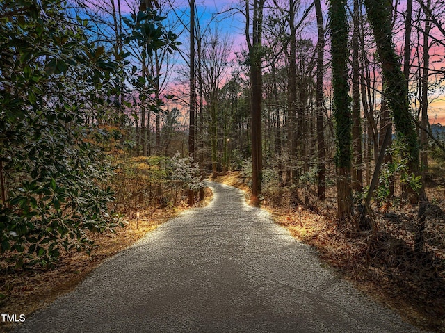 view of road with a wooded view