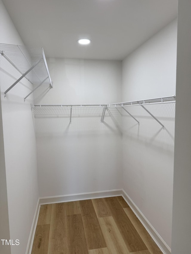 spacious closet featuring wood finished floors