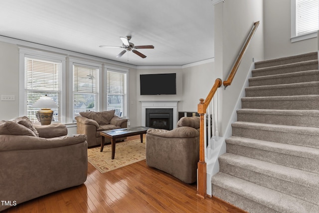 living room with crown molding, stairway, hardwood / wood-style floors, a fireplace, and a ceiling fan