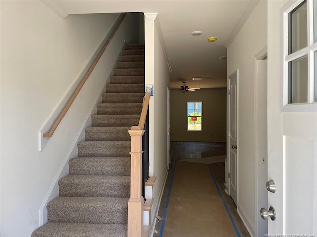 1014 Laurel St, Fayetteville, NC 28303 - photo 3