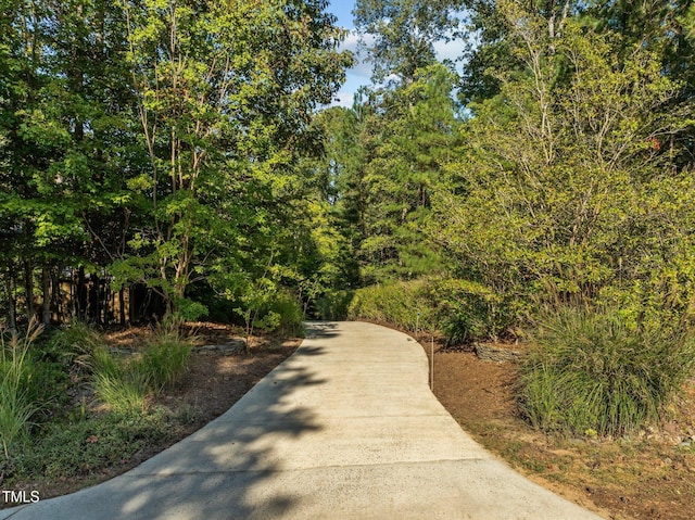 surrounding community featuring concrete driveway