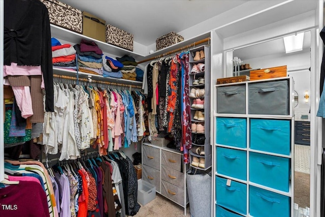 walk in closet featuring carpet