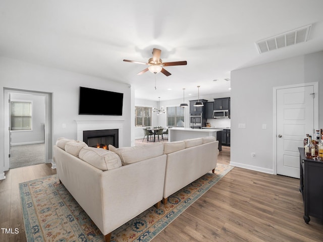 living area with visible vents, a lit fireplace, a wealth of natural light, light wood-style flooring, and a ceiling fan