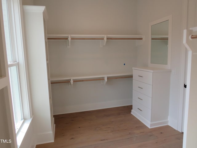 walk in closet with light wood-type flooring