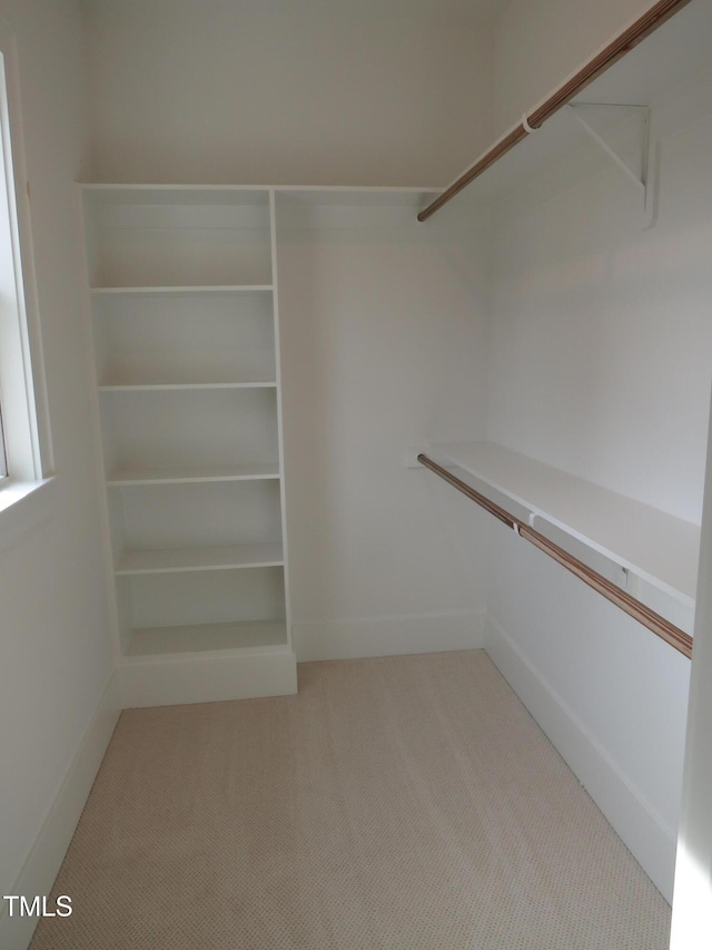 spacious closet with light colored carpet