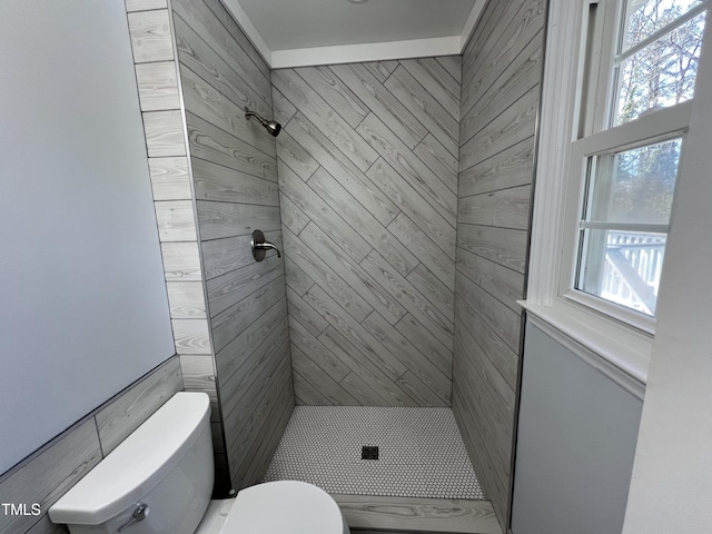 full bathroom with a shower stall, toilet, and a wealth of natural light