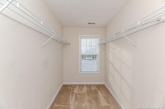 walk in closet with visible vents and carpet floors