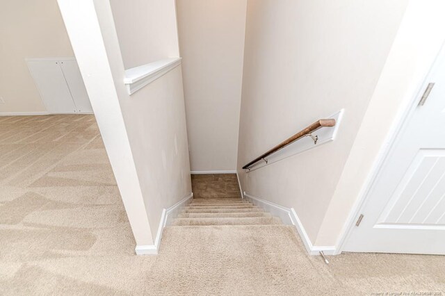 stairway featuring carpet