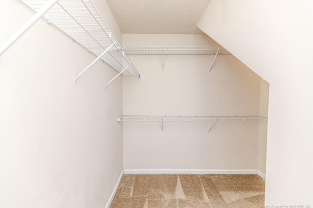 walk in closet featuring carpet