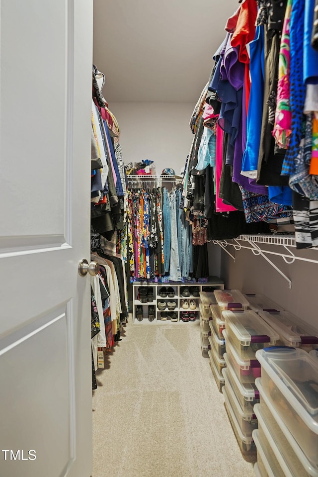 walk in closet featuring carpet floors