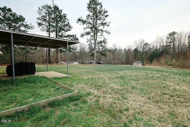 view of yard featuring an outbuilding and a storage shed