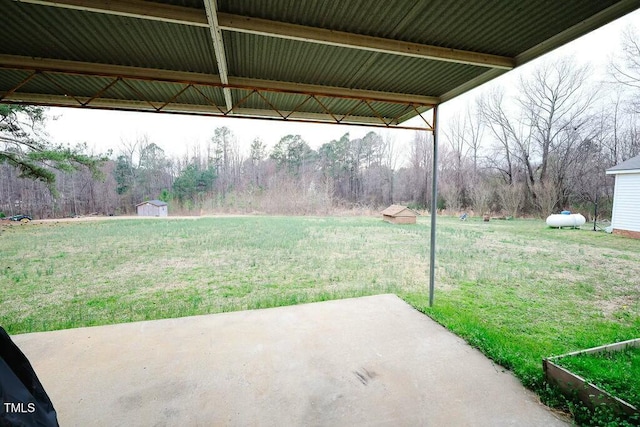 view of yard featuring a storage shed, a patio area, an outdoor structure, and a view of trees