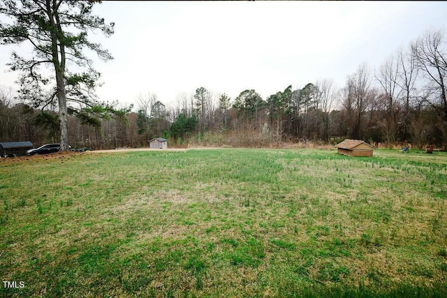 view of yard with a storage shed and an outdoor structure