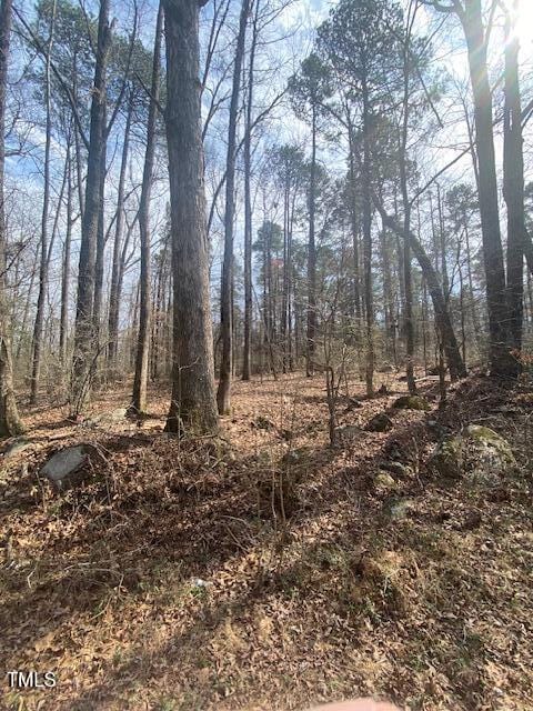 2354 Jones Ferry Rd, Pittsboro, NC 27312 - photo 3