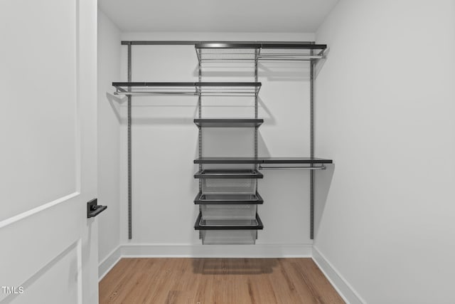 spacious closet featuring wood finished floors