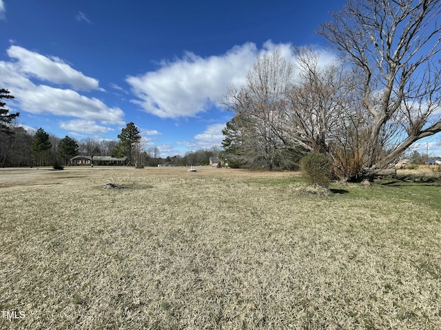 990 County Home Rd, Blanch, NC 27212 - view of yard