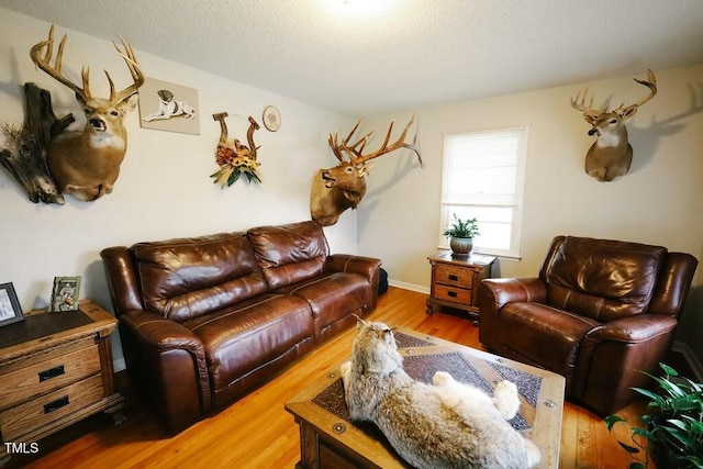 living room featuring a textured ceiling and wood finished floors