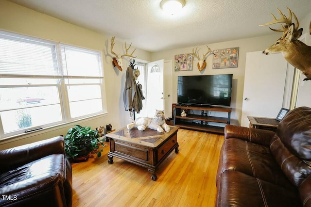 living room featuring wood finished floors and a textured ceiling