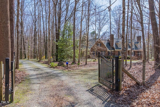 view of road with a gate, driveway, and a gated entry