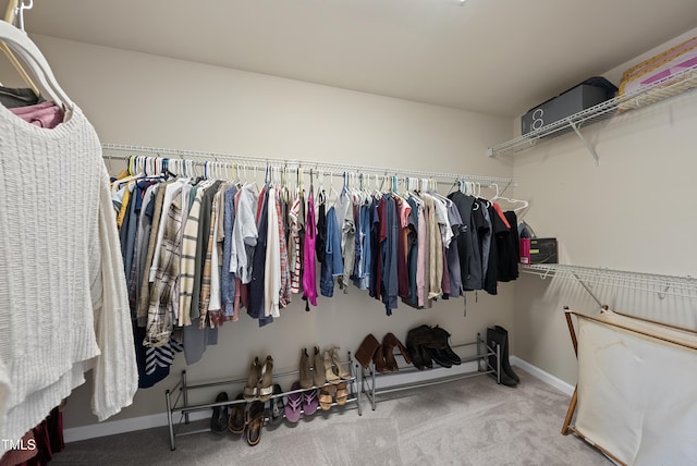 spacious closet featuring carpet