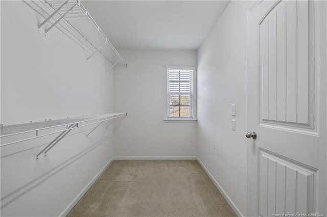 spacious closet with light carpet