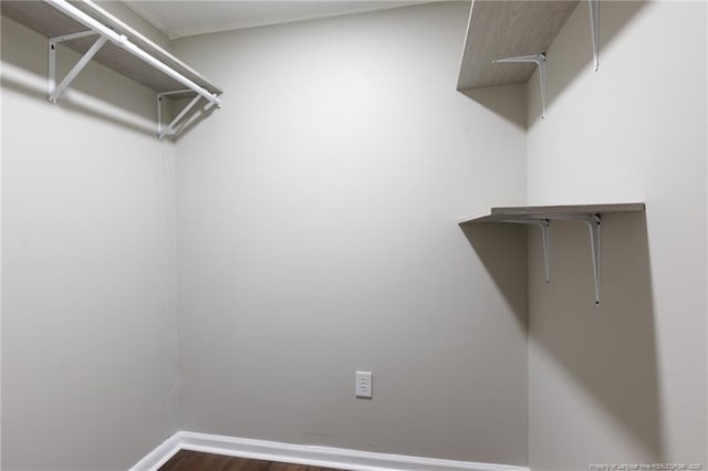 walk in closet with dark wood-type flooring