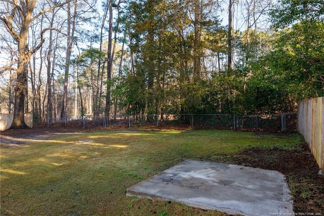 view of yard with a patio area and a fenced backyard