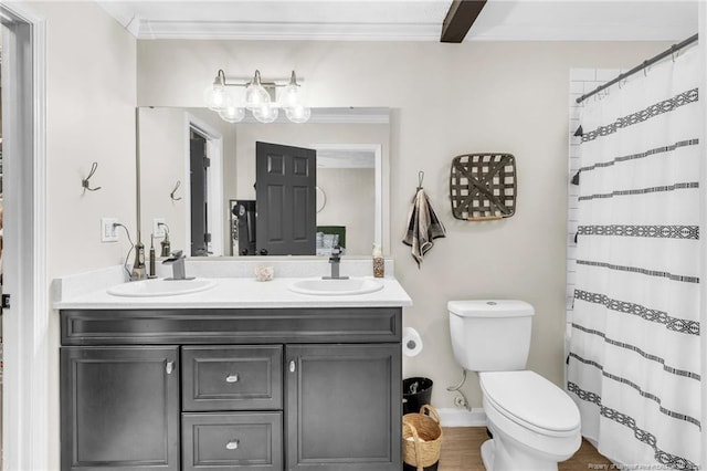 bathroom featuring double vanity, toilet, crown molding, and a sink