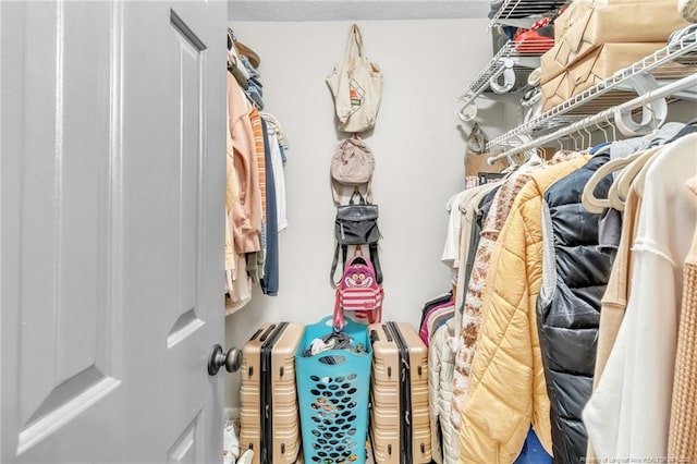 view of walk in closet