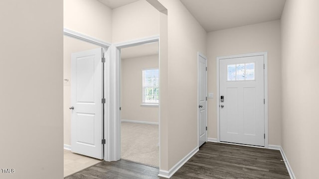 foyer entrance with baseboards and wood finished floors