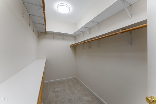 spacious closet featuring light colored carpet