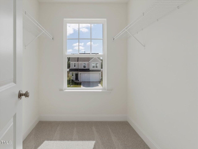 spacious closet with carpet floors