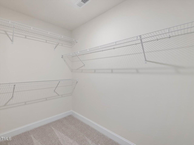 walk in closet with visible vents and carpet floors