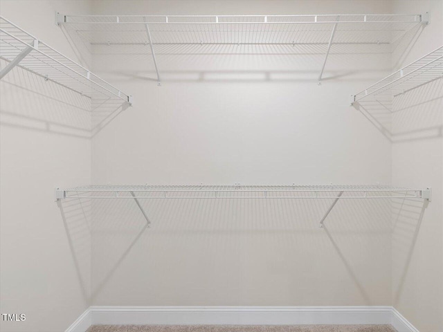 spacious closet with carpet flooring