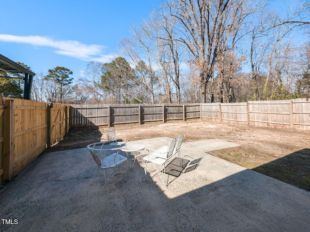 view of yard with a patio and a fenced backyard