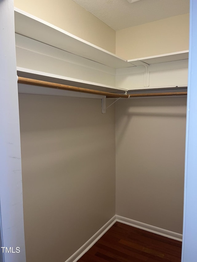 spacious closet featuring dark wood finished floors