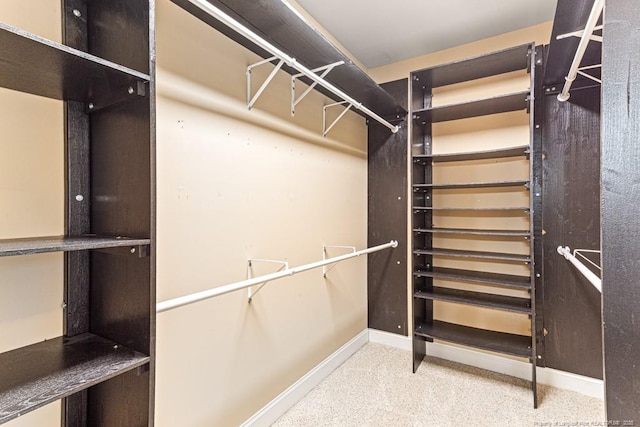 spacious closet featuring carpet