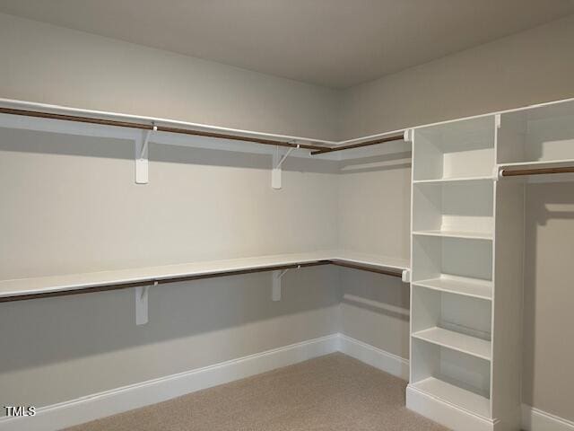 spacious closet featuring light colored carpet