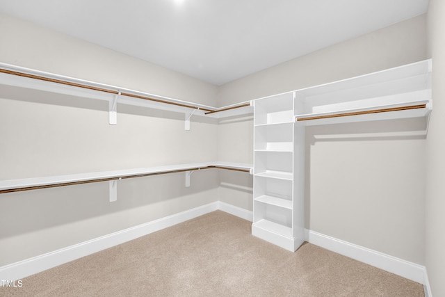 12912 Grey Willow Dr, Raleigh, NC 27613 - spacious closet featuring light carpet