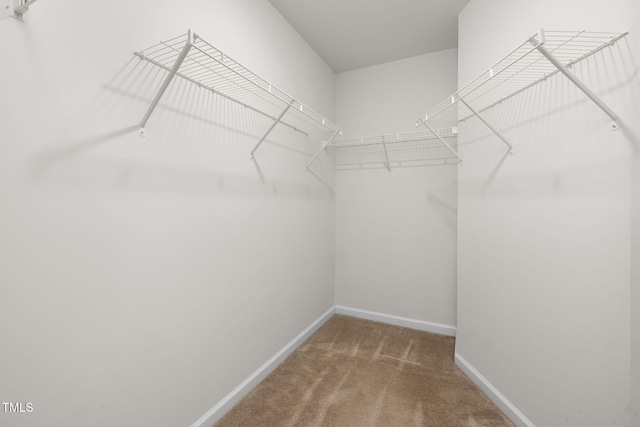 spacious closet with carpet floors